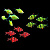 Барбус Суматранский (GloFish) ассорти